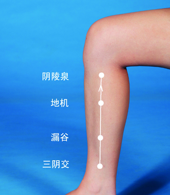 常揉陰陵泉等穴，讓你身體更強(qiáng)壯