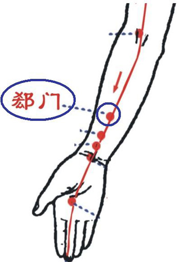 郄門穴→治心痛、心悸