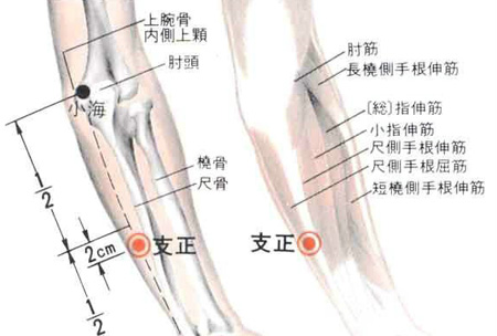 支正穴→治頭痛、目眩