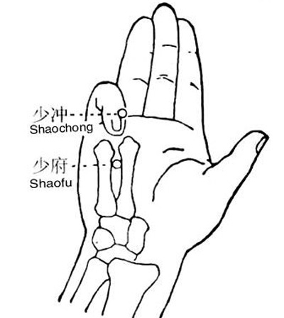 少?zèng)_穴→治心悸、心痛
