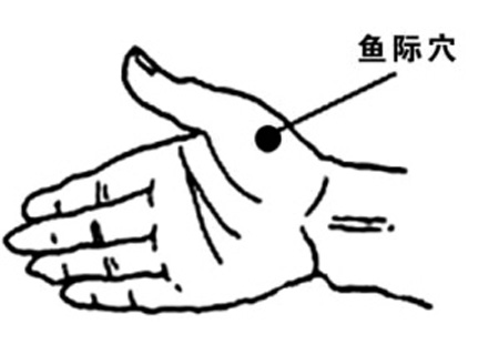 魚際穴→治發(fā)熱、咳嗽