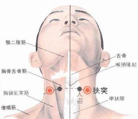 扶突穴→治干咳、氣喘