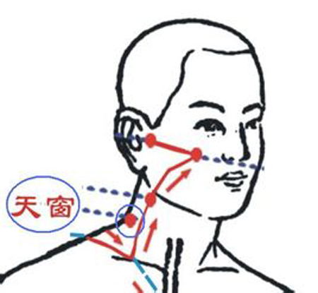 天窗穴→治耳鳴、耳聾