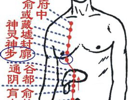 步廊穴→治胸痛、咳嗽