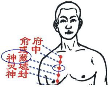 神藏穴→治咳嗽、胸痛