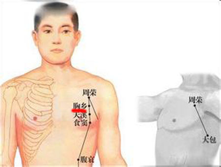 胸鄉(xiāng)穴→治咳嗽、哮喘