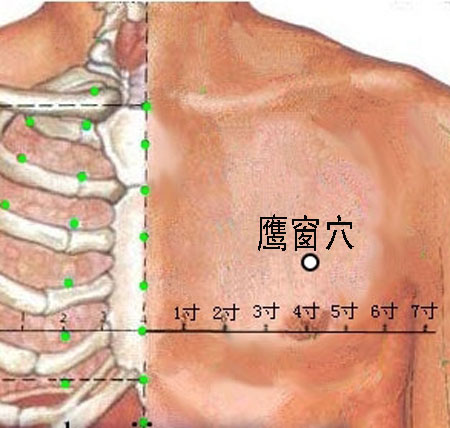 鷹窗穴→治咳嗽、氣喘