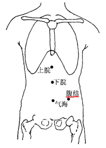 腹結(jié)穴→治腹痛、痢疾