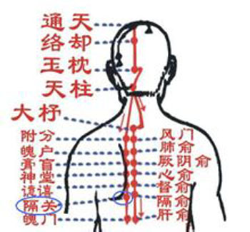 膈關(guān)穴→治胸悶、噯氣