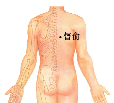 督俞穴→治心痛、胸悶