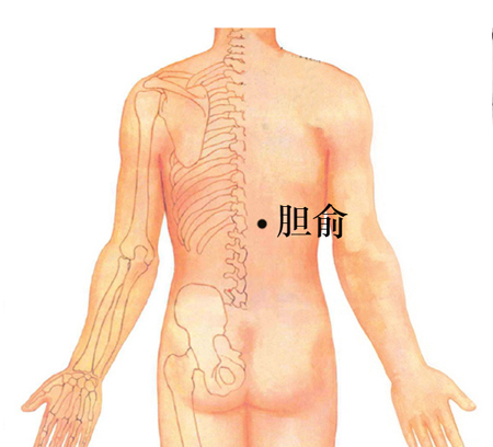 膽俞穴→治黃疸、口苦