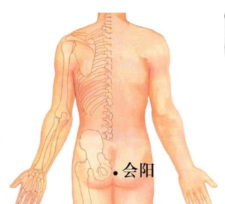 會陽穴→治泄瀉、便血