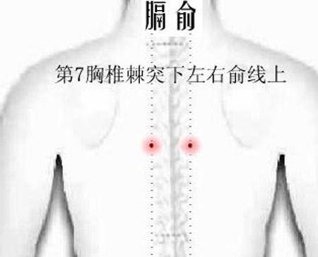 膈俞穴→治嘔吐、呃逆