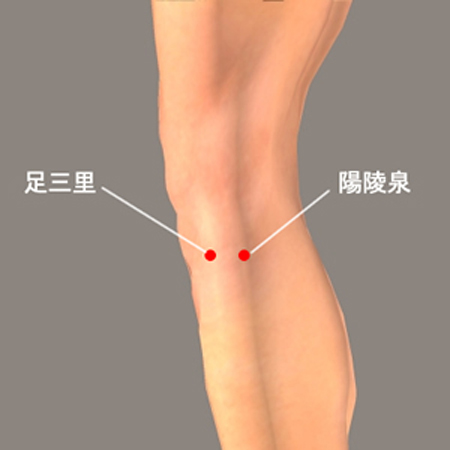 陰陵泉穴→治腹脹、泄瀉