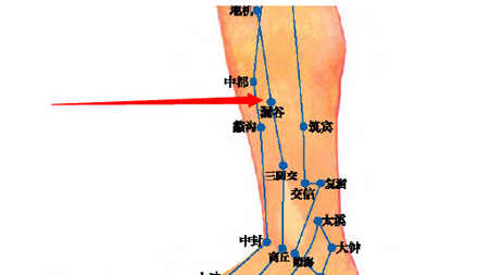 漏谷穴→治腹脹、腸鳴