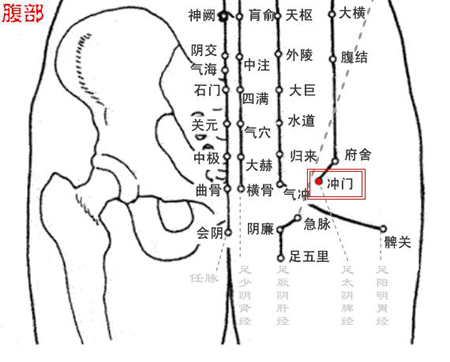 沖門(mén)穴→治腹痛、帶下