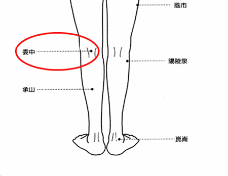 委中穴→治腰痛、腹痛。