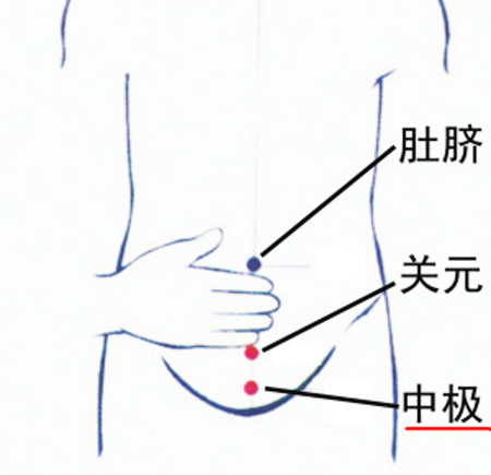 中極穴：補(bǔ)腎培元，調(diào)治陰挺、不孕