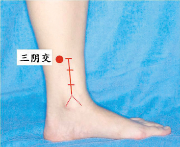 脾經(jīng)生輝，血海和三陰交是女人養(yǎng)生要穴