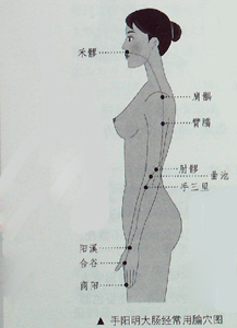 敲敲打打大腸經(jīng)、胃經(jīng)，女人的“不老秘方”