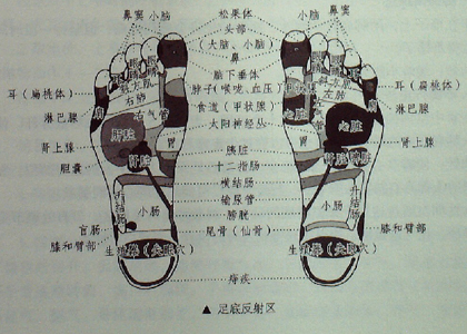 摩擦腳底，氣血充盈為肌膚美白