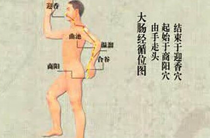 刮痧刮大腸經(jīng)，可以清理腸道、排出宿便