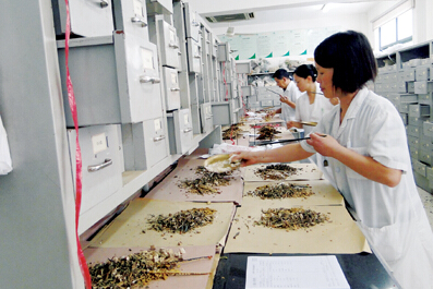 以“一帶一路”為契機，推動中醫(yī)藥走向世界