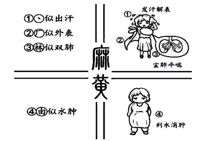 看漫畫學(xué)中藥，有趣味記得牢