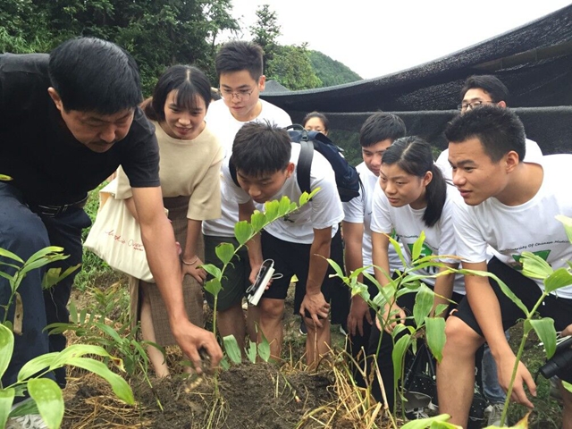 湖北中醫(yī)藥大學(xué)藥學(xué)院組織學(xué)生前往中藥材種植基地進(jìn)行暑期社會(huì)實(shí)踐活動(dòng)