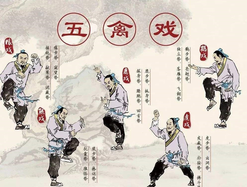 華佗，外科鼻祖，發(fā)明麻沸散、五禽戲