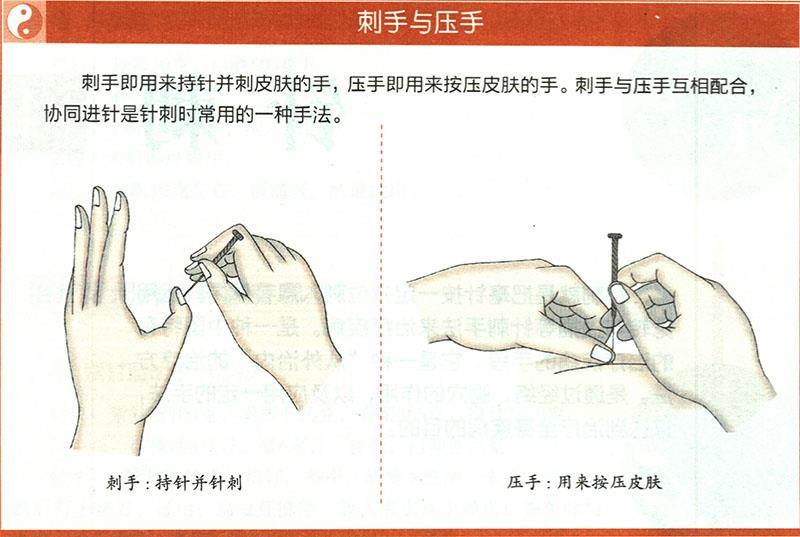 一般針法的運用原則是什么？