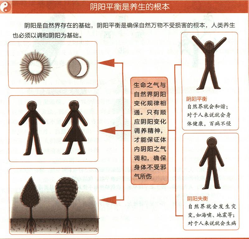 養(yǎng)生的根本是什么？