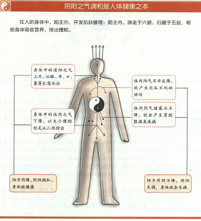 人為什么一定要陰陽調(diào)和才健康？
