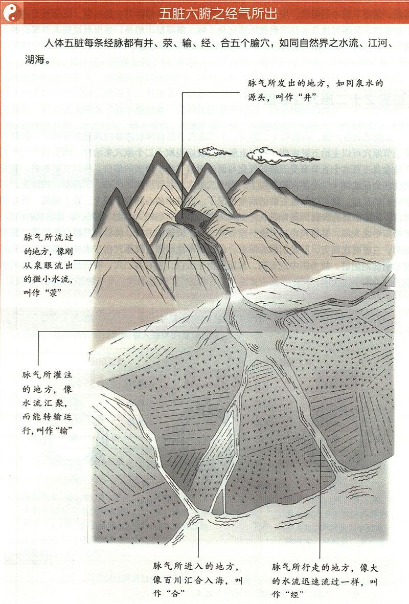 臟腑之經(jīng)氣所出分別在哪里？