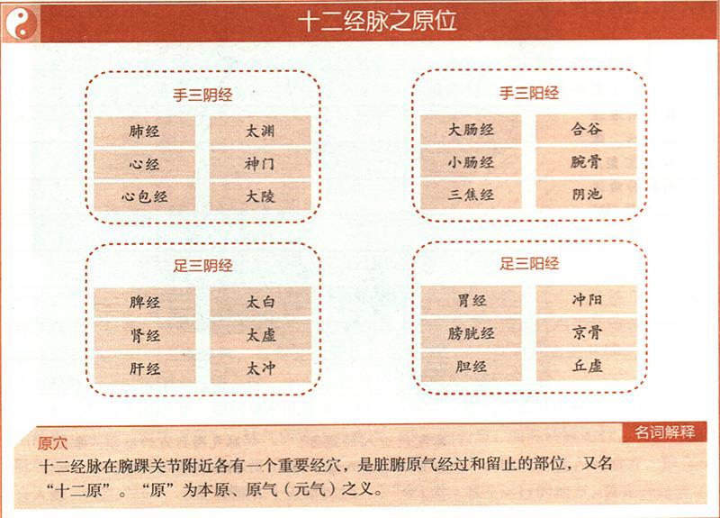 臟腑之十二原穴在哪里？