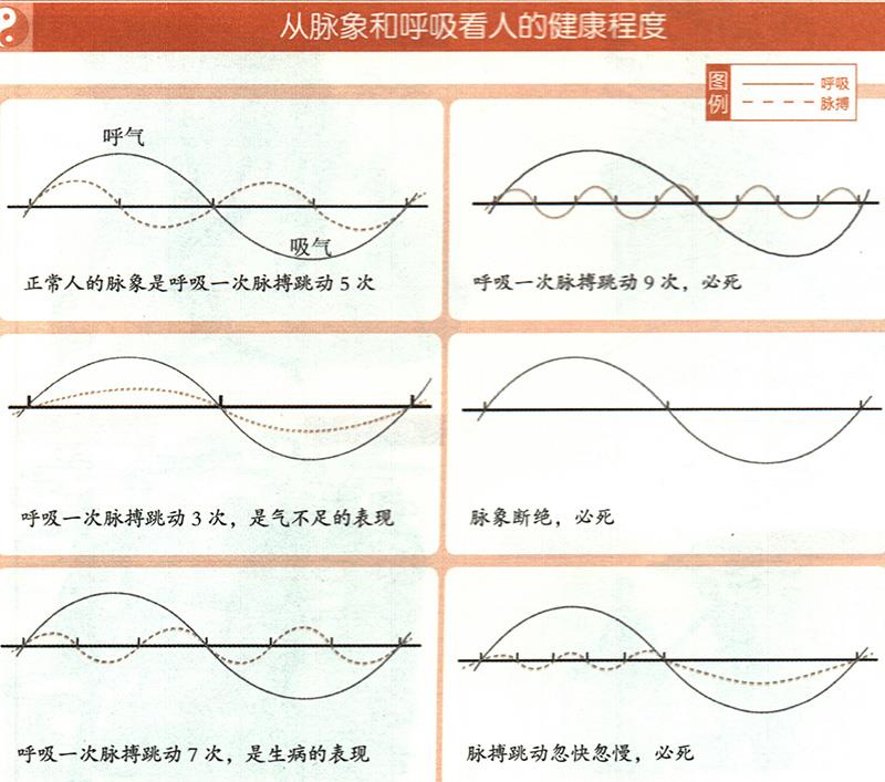 如何從脈象和呼吸推算健康？