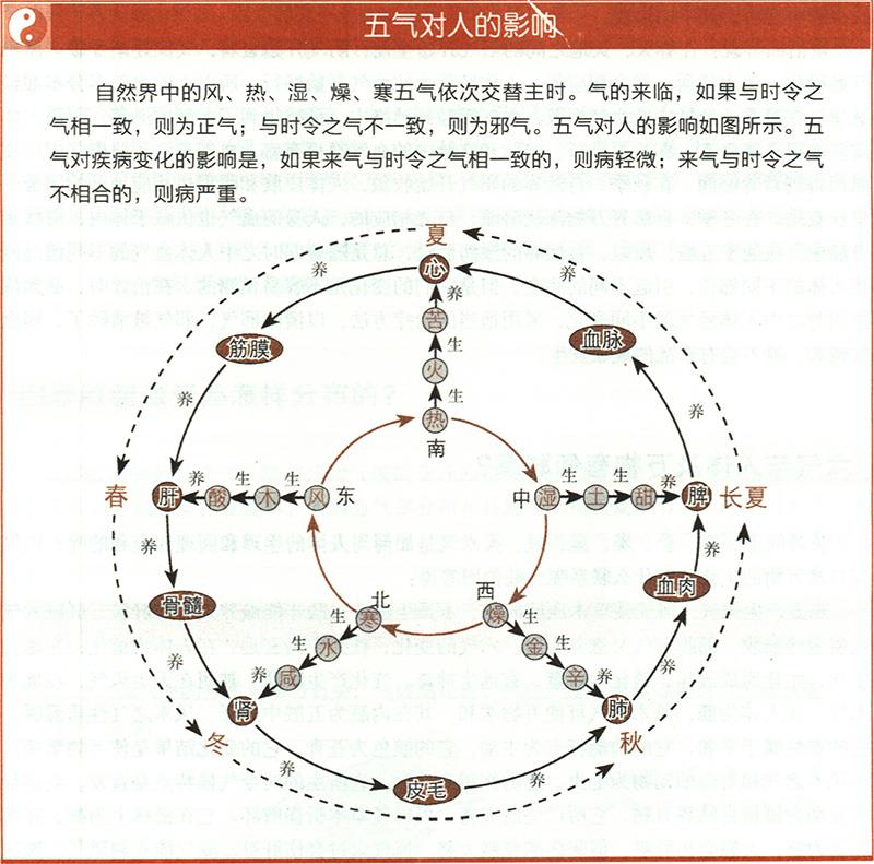 六氣與人體及萬(wàn)物有何聯(lián)系？