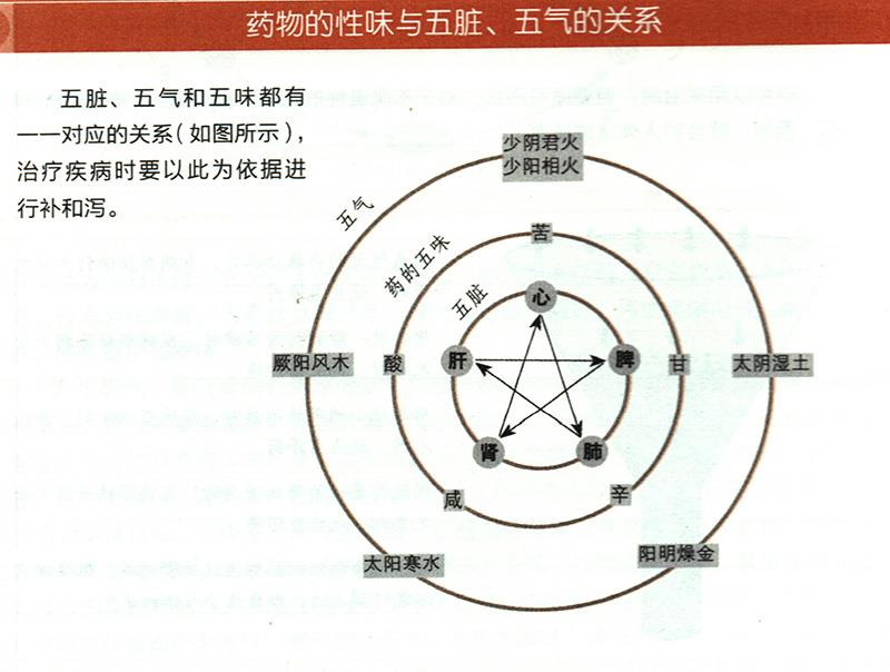 藥物的性味與五臟、五氣有什么關(guān)系？