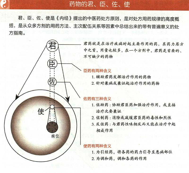 什么是藥物的君臣佐使？