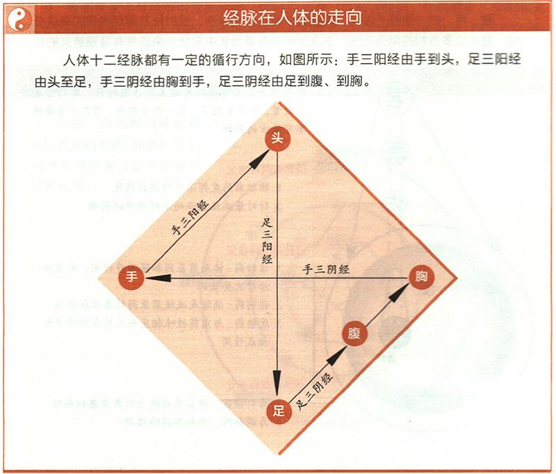 十二經(jīng)脈的起止點(diǎn)分別在哪里？