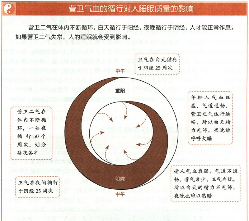 營(yíng)衛(wèi)二氣在體內(nèi)是怎樣運(yùn)行與相會(huì)的？