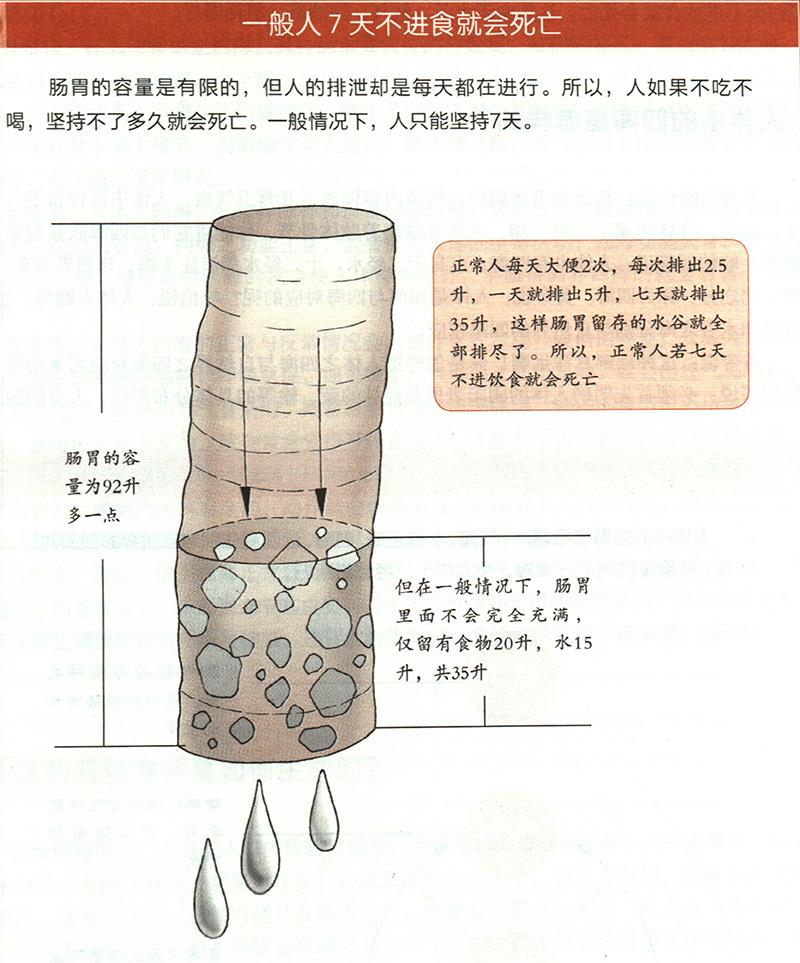 為什么7天不進(jìn)食就會死亡？