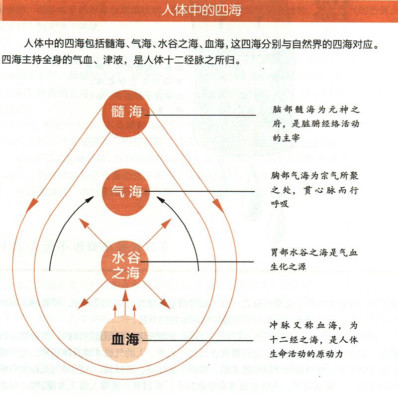 人體中的四海是怎樣的？