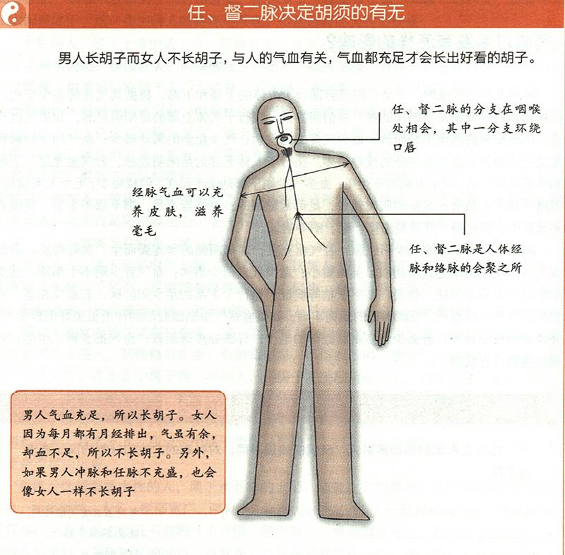 氣血對(duì)毛發(fā)有怎樣的影響？