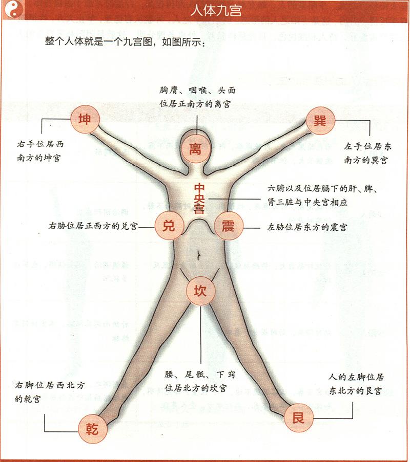 人體各部與九野是怎樣對(duì)應(yīng)的？