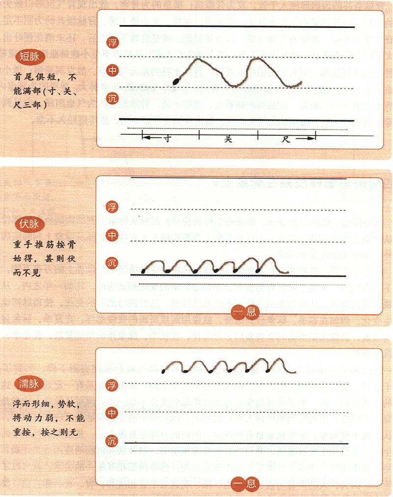 緩、急、小、大、滑、澀六種脈象所對(duì)應(yīng)的病狀情形是怎樣的？