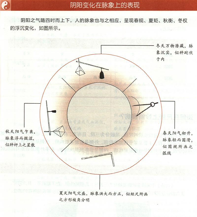 四時(shí)陰陽(yáng)怎樣反映在脈象上？