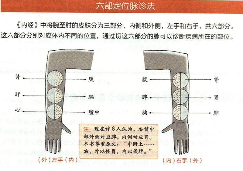 如何在尺膚上診斷疾??？