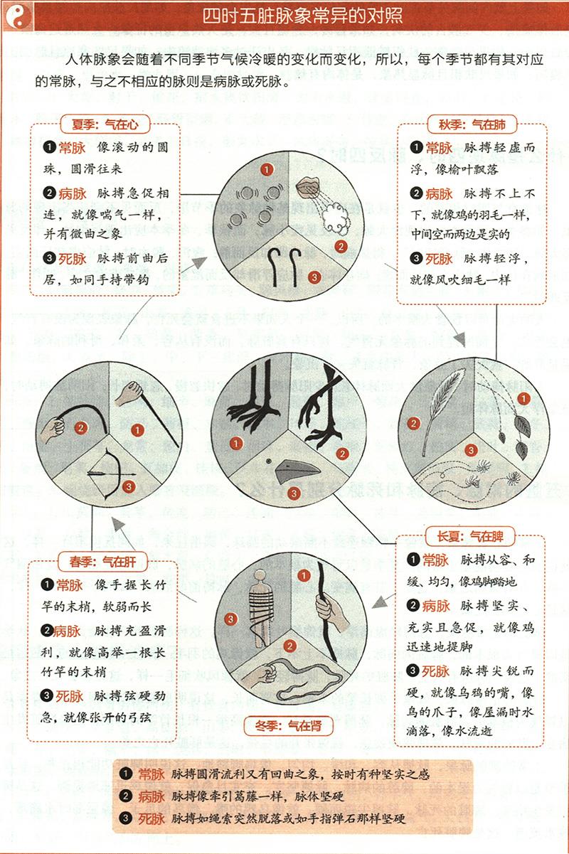 五臟的常脈、病脈和死脈分別是什么？