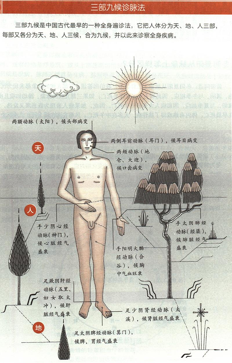 如何根據(jù)三部九候來(lái)診?。? /></a>
        </div>
       </li>
      </ul>
      <div   id=
